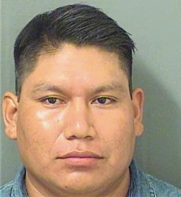 Ailonmendoza Oscar - PalmBeach County, FL 