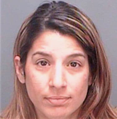 Ameres Theofania - Pinellas County, FL 