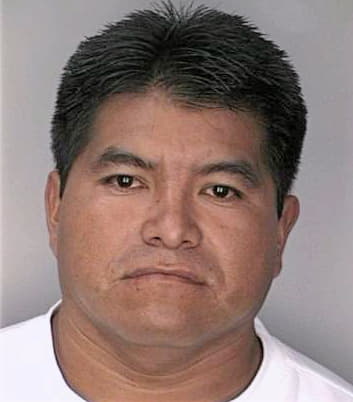 Cortes Carilo - Hillsborough County, FL 