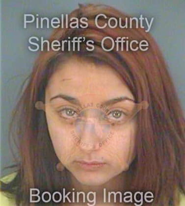 Levin Caroline - Pinellas County, FL 