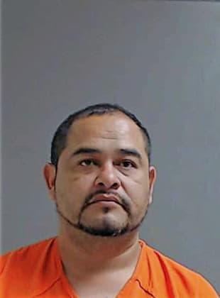 Mendoza David - Hidalgo County, TX 