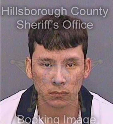 Antunez-Mederos Gustavo - Hillsborough County, FL 