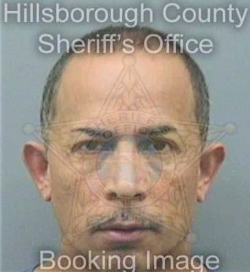 Roachlee Julio - Hillsborough County, FL 