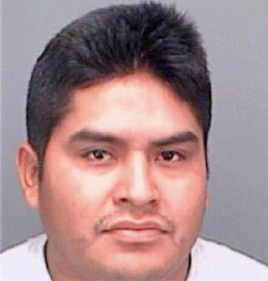 Cruz Luis - Pinellas County, FL 