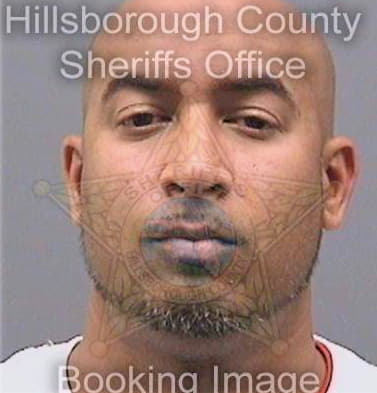Sookoo Astaire - Hillsborough County, FL 