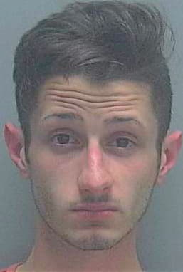 Malato Dominick - Lee County, FL 