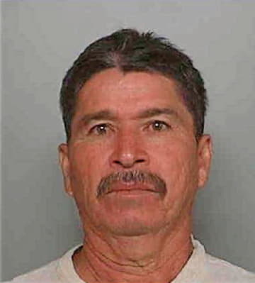 Velazquez Esteban - Polk County, FL 