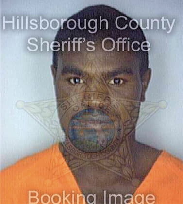 Brown James - Hillsborough County, FL 