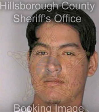 Alamillalopez Juan - Hillsborough County, FL 