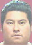 Roblero Manolo - Rhea County, TN 