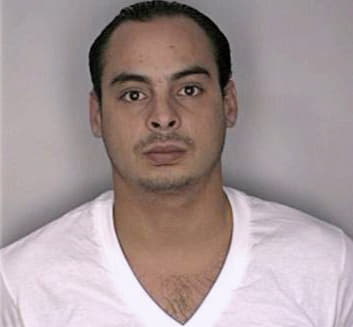 Fonseca Manuel - Hillsborough County, FL 
