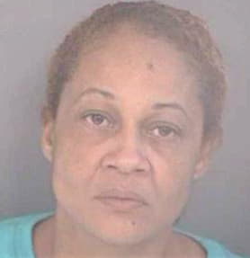 Acevedo Maritza - Hillsborough County, FL 