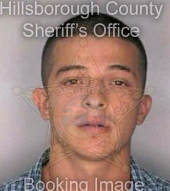 Marin Misael - Hillsborough County, FL 