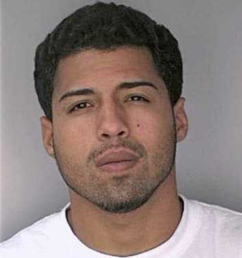Feblez Ramon - Hillsborough County, FL 
