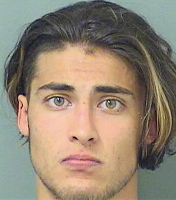 Christopher William - PalmBeach County, FL 