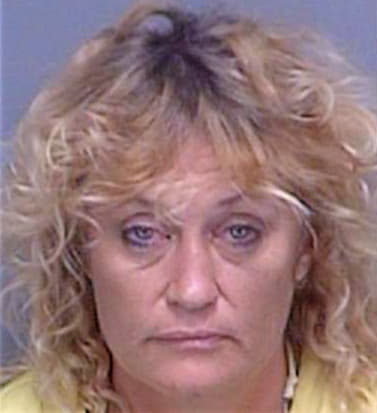 Demember Cynthia - Pinellas County, FL 