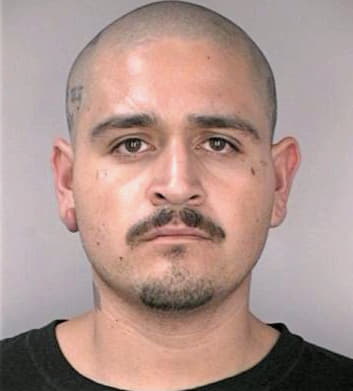 Rangel Fransisco - Hillsborough County, FL 