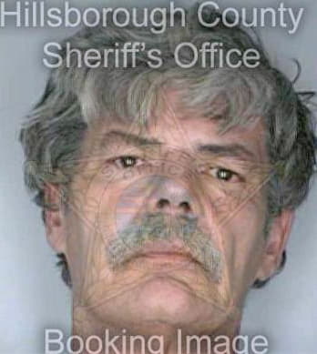 Gosselin Johnny - Hillsborough County, FL 