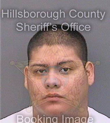 Rios Leonel - Hillsborough County, FL 
