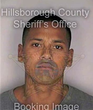 Regino David - Hillsborough County, FL 