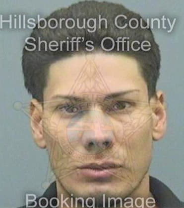 Lopezvelez Luis - Hillsborough County, FL 