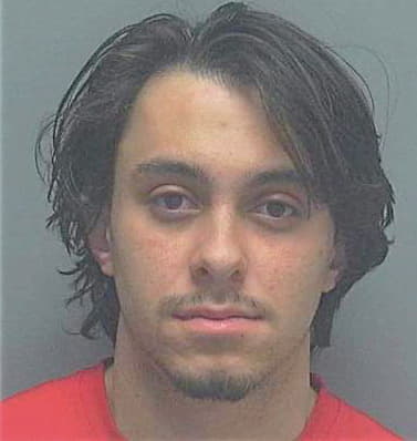 Barros Matheus - Lee County, FL 