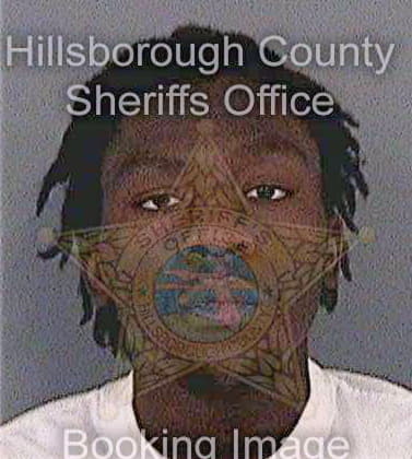 Joseph Wilmyd - Hillsborough County, FL 