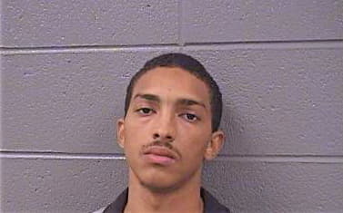 Mcmahan Randall - Cook County, IL 