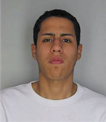 Navarro David - Hillsborough County, FL 