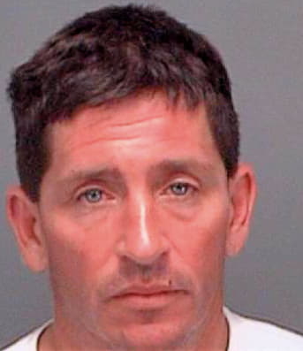 Nemeth Donald - Pinellas County, FL 