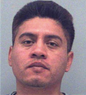 Romero-Portillo Fernando - Gwinnett County, GA 