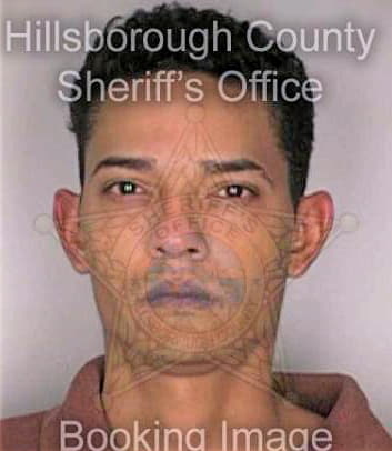 Toledo Angel - Hillsborough County, FL 