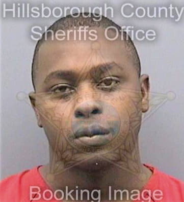 Brinson Frank - Hillsborough County, FL 