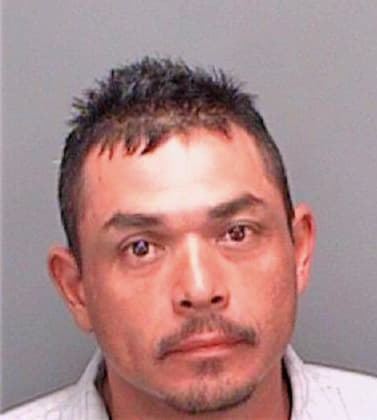 Elias Juan - Pinellas County, FL 