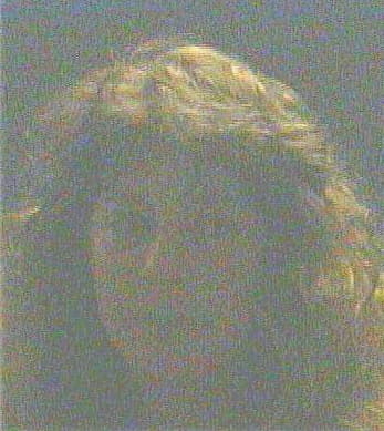 Hamlin Cynthia - Gwinnett County, GA 