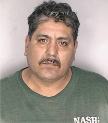 Guzman Guillermo - Hillsborough County, FL 