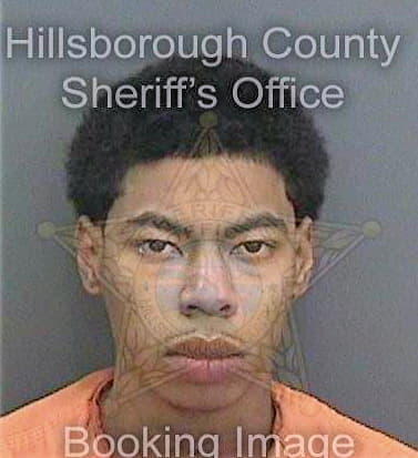 Henry Leroy - Hillsborough County, FL 