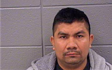 Mendoza Ricardo - Cook County, IL 