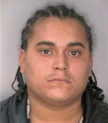 Alers Richie - Hillsborough County, FL 