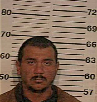 Garcia Fidel - Hidalgo County, TX 