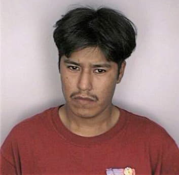 Alegnemartinez Guillermo - Hillsborough County, FL 