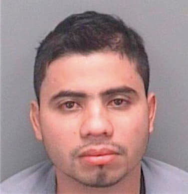 Medrano-Gonzalez Jose - Pinellas County, FL 