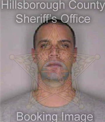 Lucey Marc - Hillsborough County, FL 