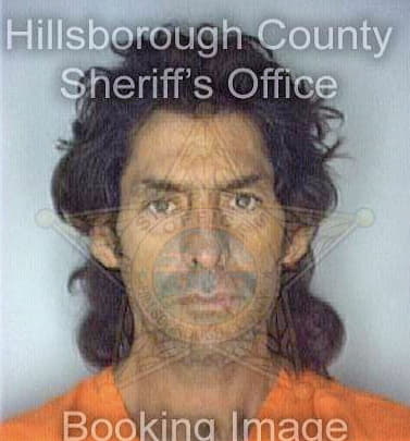 Gonzales David - Hillsborough County, FL 