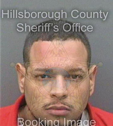 Santiago Emanuel - Hillsborough County, FL 