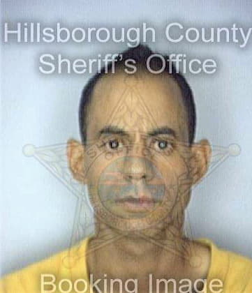 Martinez Hector - Hillsborough County, FL 