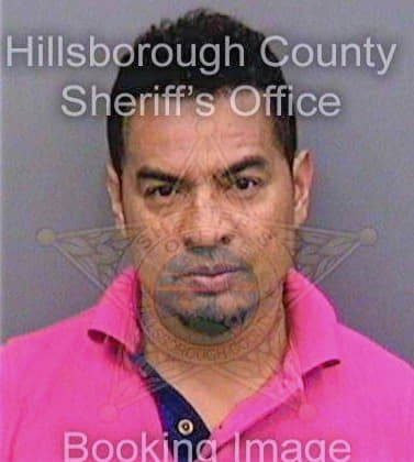 Chirinos Jaime - Hillsborough County, FL 