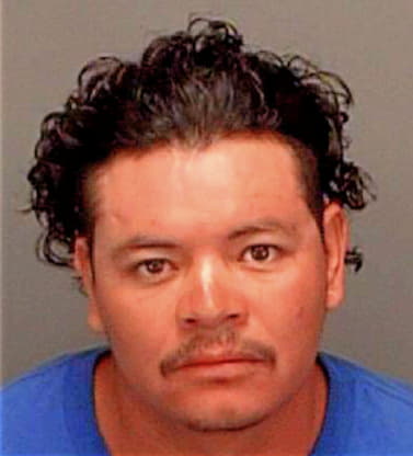 Miranda Juan - Pinellas County, FL 