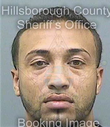 Rodriguezrodriguez Mario - Hillsborough County, FL 