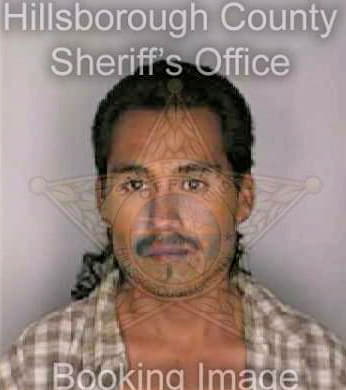 Barajas Ramon - Hillsborough County, FL 